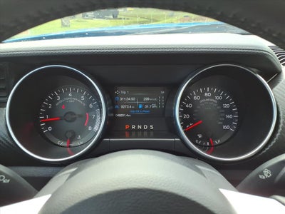 2022 Ford Mustang EcoBoost