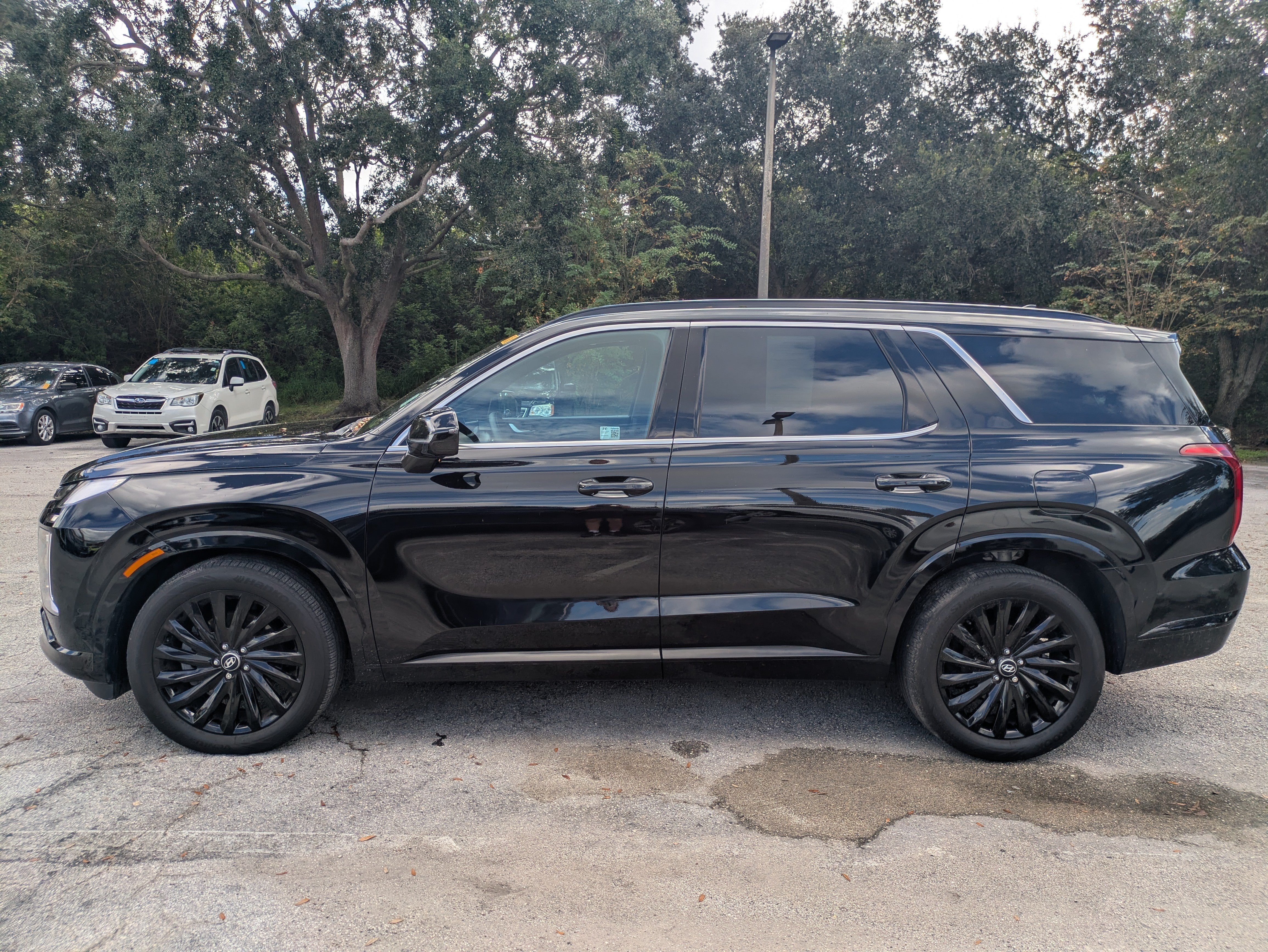 2025 Hyundai Palisade Calligraphy Night Edition